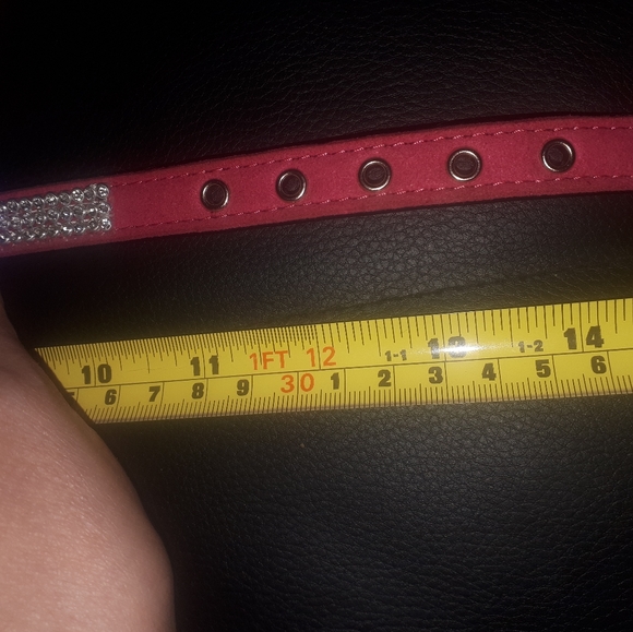 Cat/dog halter/leash - Picture 11 of 13